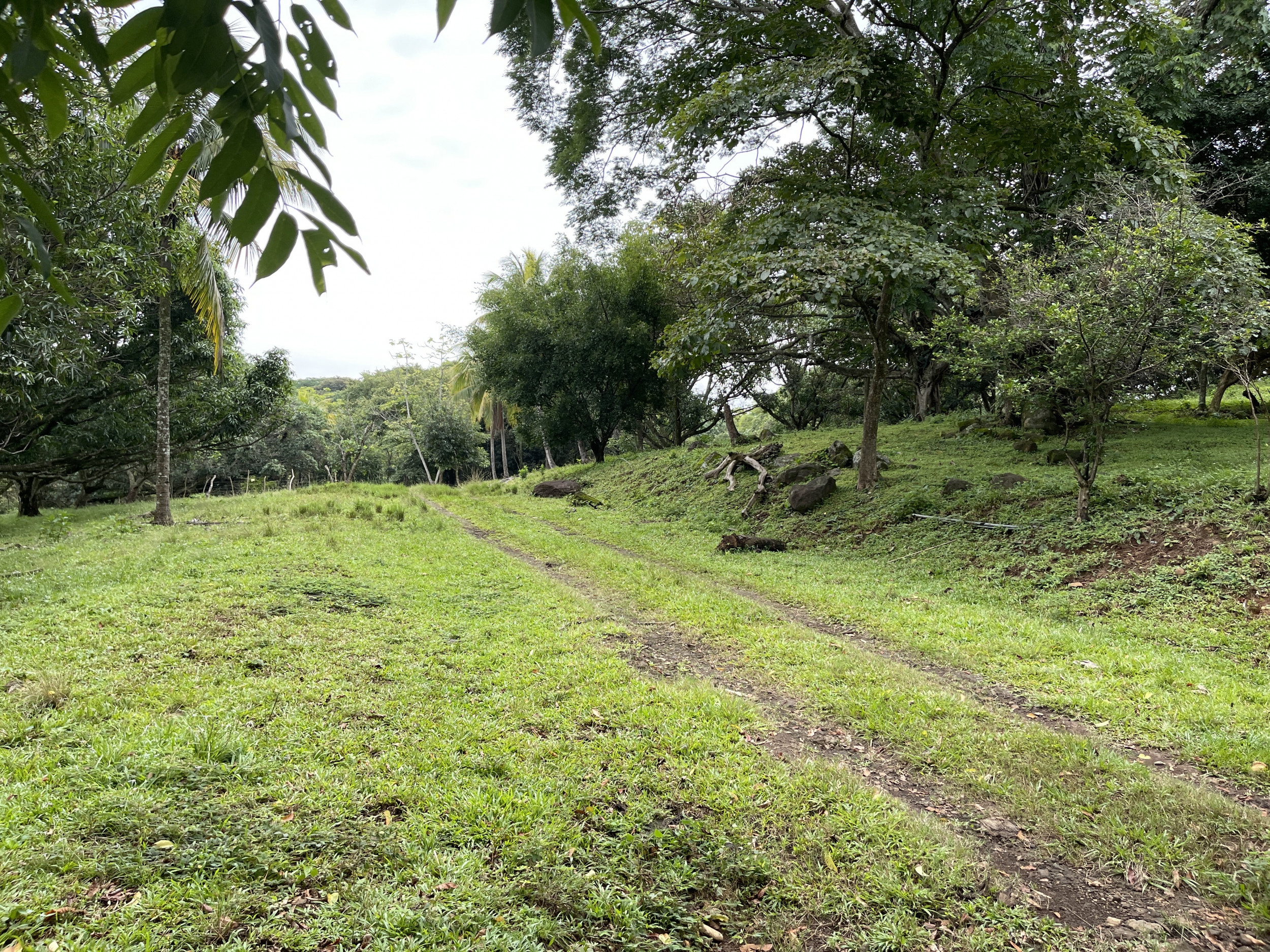 Development land for sale La Garita Alajuela 6.2 hectares