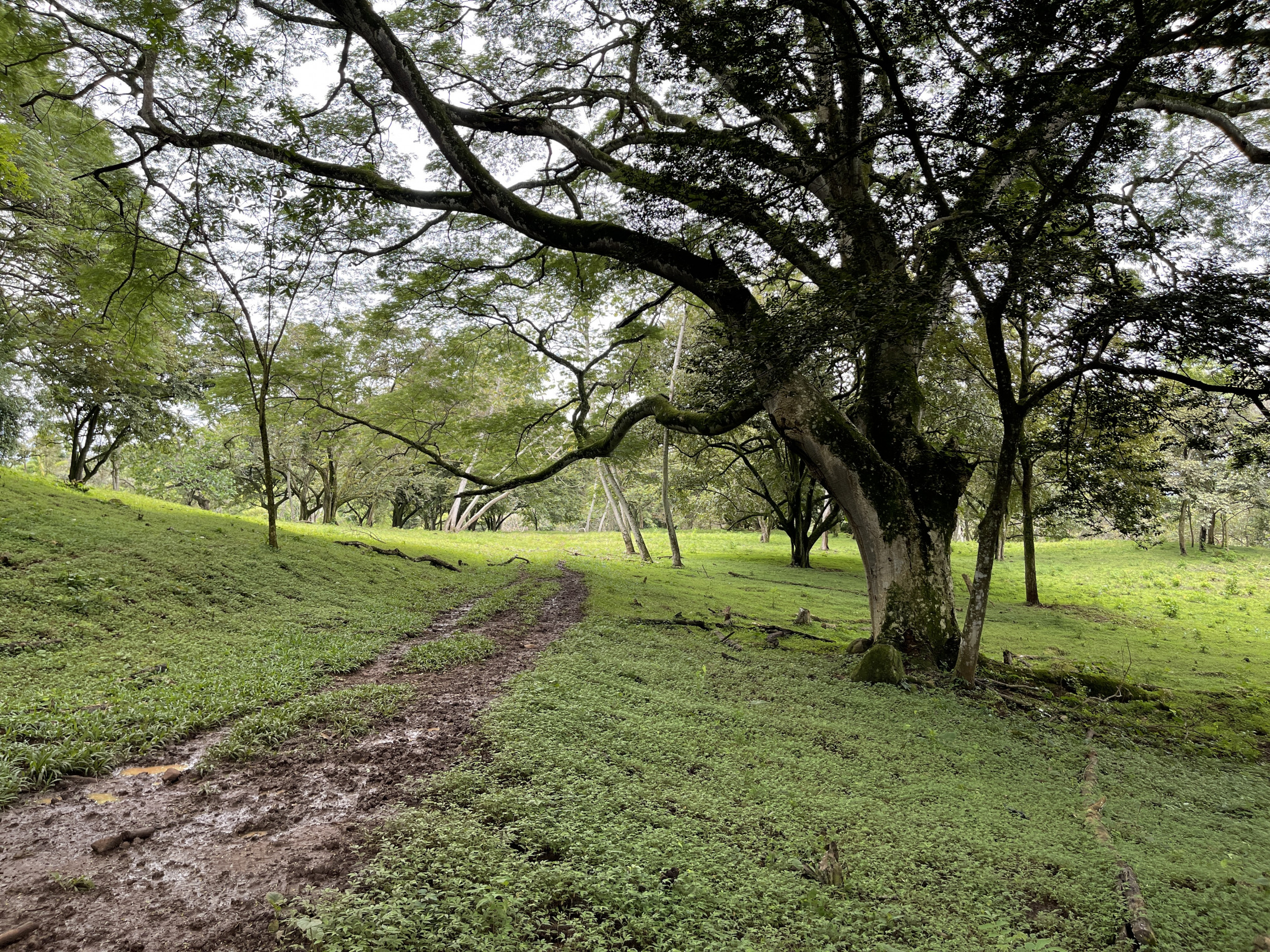 Development land for sale La Garita Alajuela 6.2 hectares