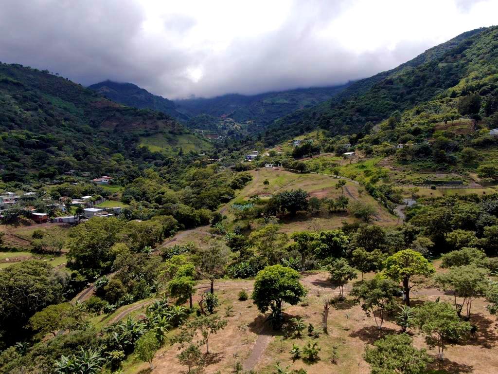 Prime 7.2-Hectare Estate in Santa Ana: Ideal for Family Living, Equestrian Facilities, or Spa Retreat