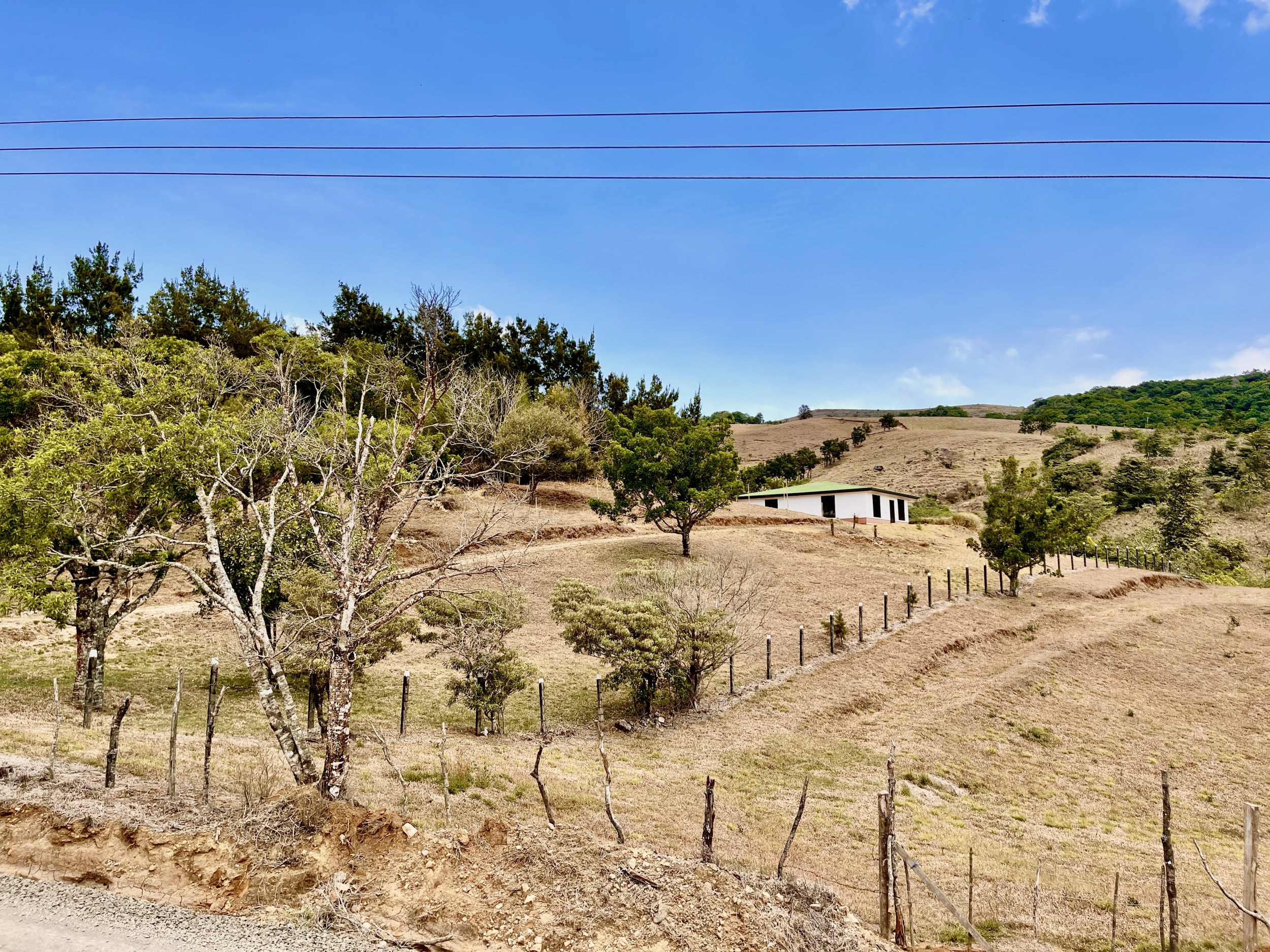 Land for Sale in San Ramón de Alajuela – 3,100 m² with Beautiful Views