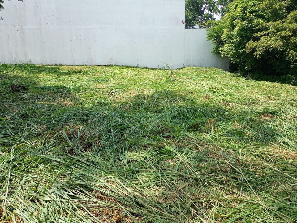 Rare Opportunity: Flat 2518m2 Land for Sale in Santa Ana with 34m Frontage
