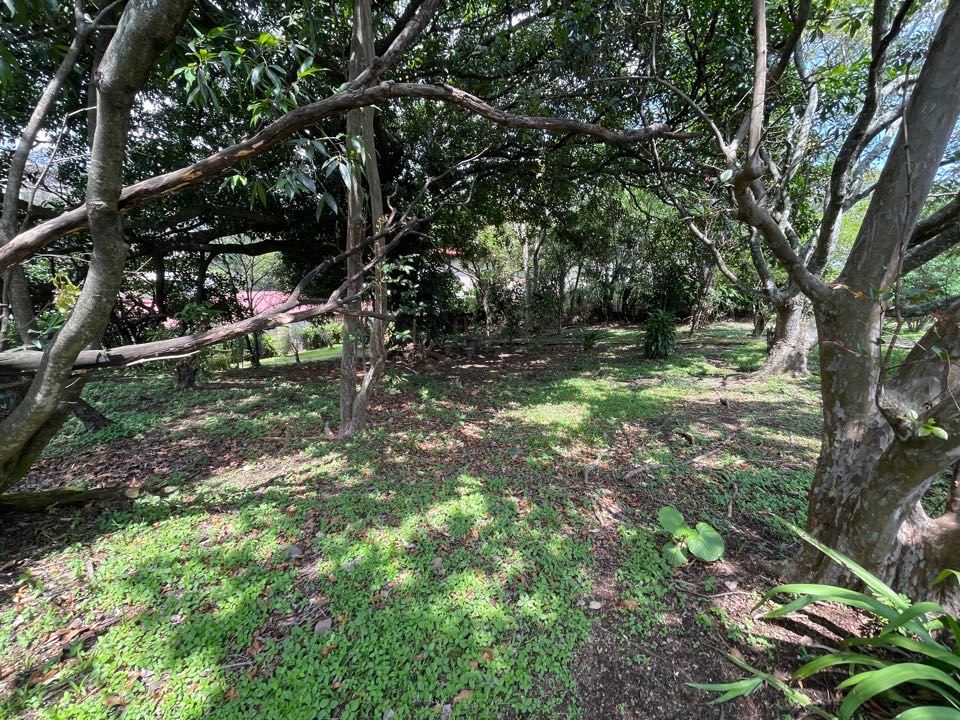 Escazu, San Rafael, development land for sale with a house.