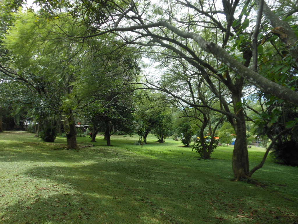 Building Plot in Rio Segundo, Alajuela