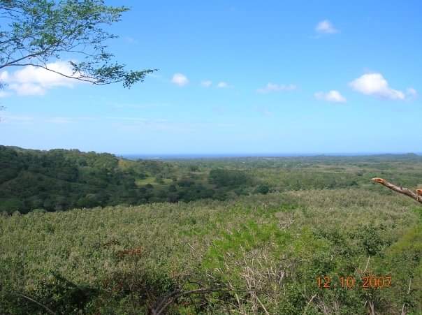 Secluded Paradise: Expansive Lot with Panoramic Sea Views in San Antonio Estates, Pinilla SOLD