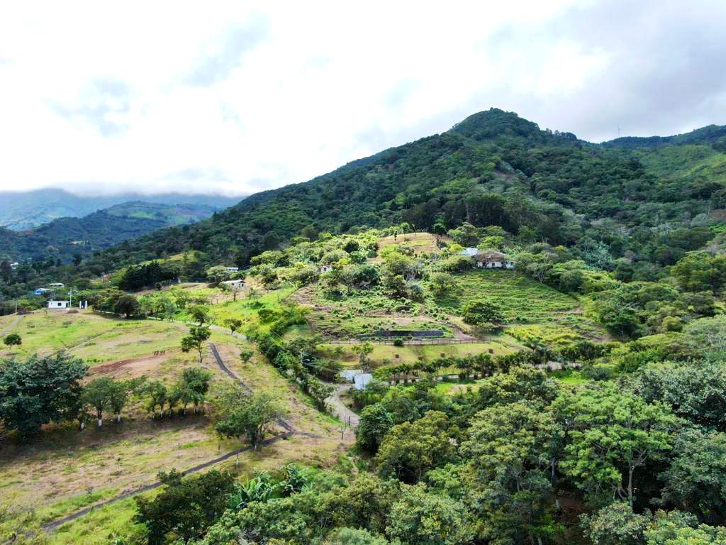 Prime 7.2-Hectare Estate in Santa Ana: Ideal for Family Living, Equestrian Facilities, or Spa Retreat