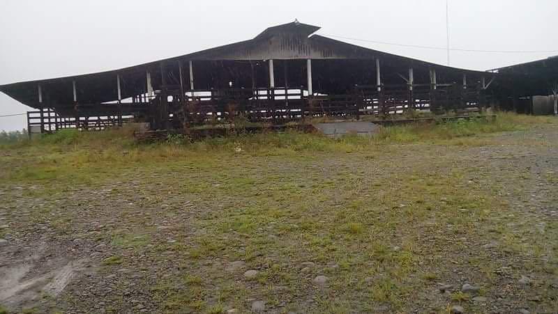 Livestock farm for sale and palm oil, 331 acres