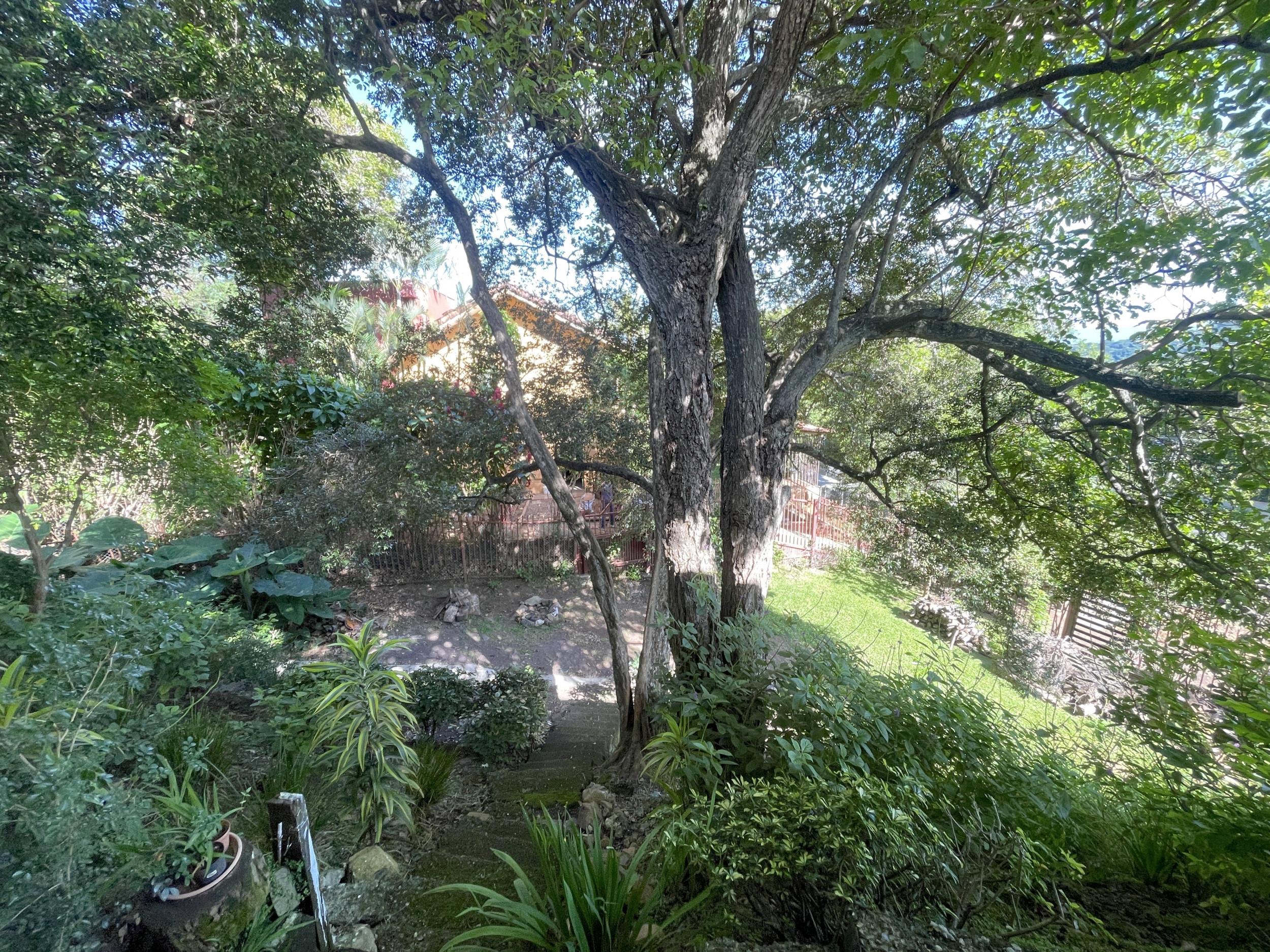 House in Alto Las Palomas single story with breathtaking Views and Lush Gardens SOLD