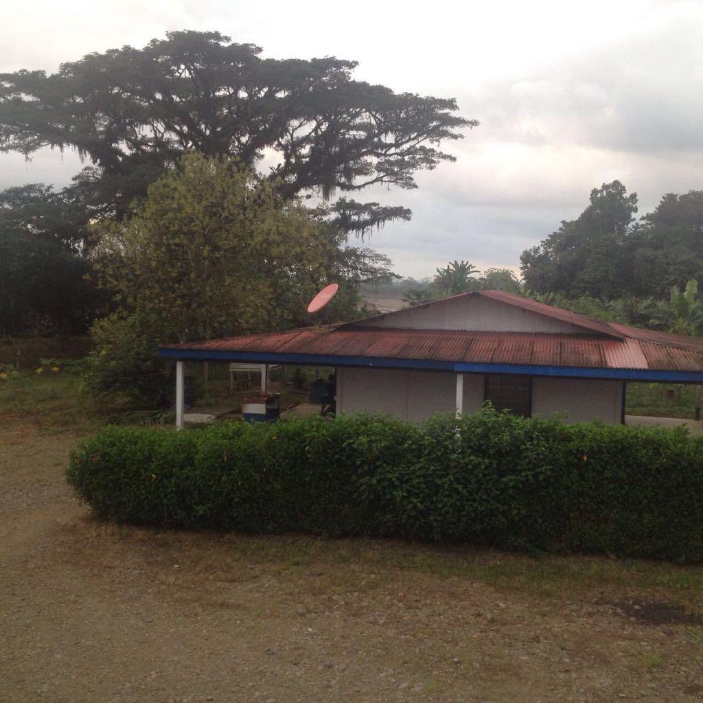 140 hectares palm oil farm, Sarapiqui