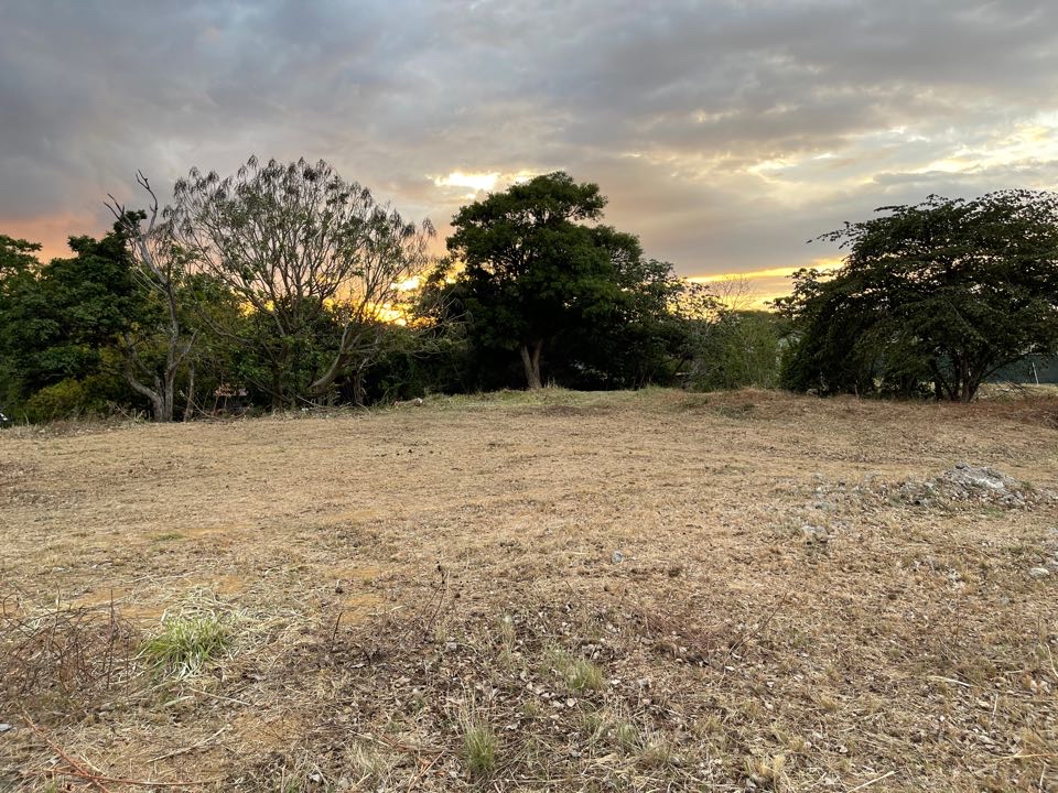 Industrial Lot for Sale in Santa Ana – 3,224 m