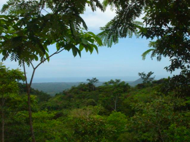Spectacular Farm for Sale in Cobano, Puntarenas: Ocean Views to Santa Teresa, Lush Nature, and Included Waterfall