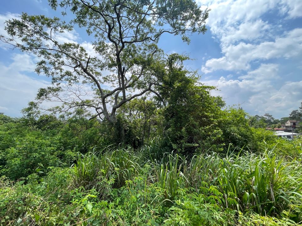 Escazu, San Rafael, development land for sale with a house.