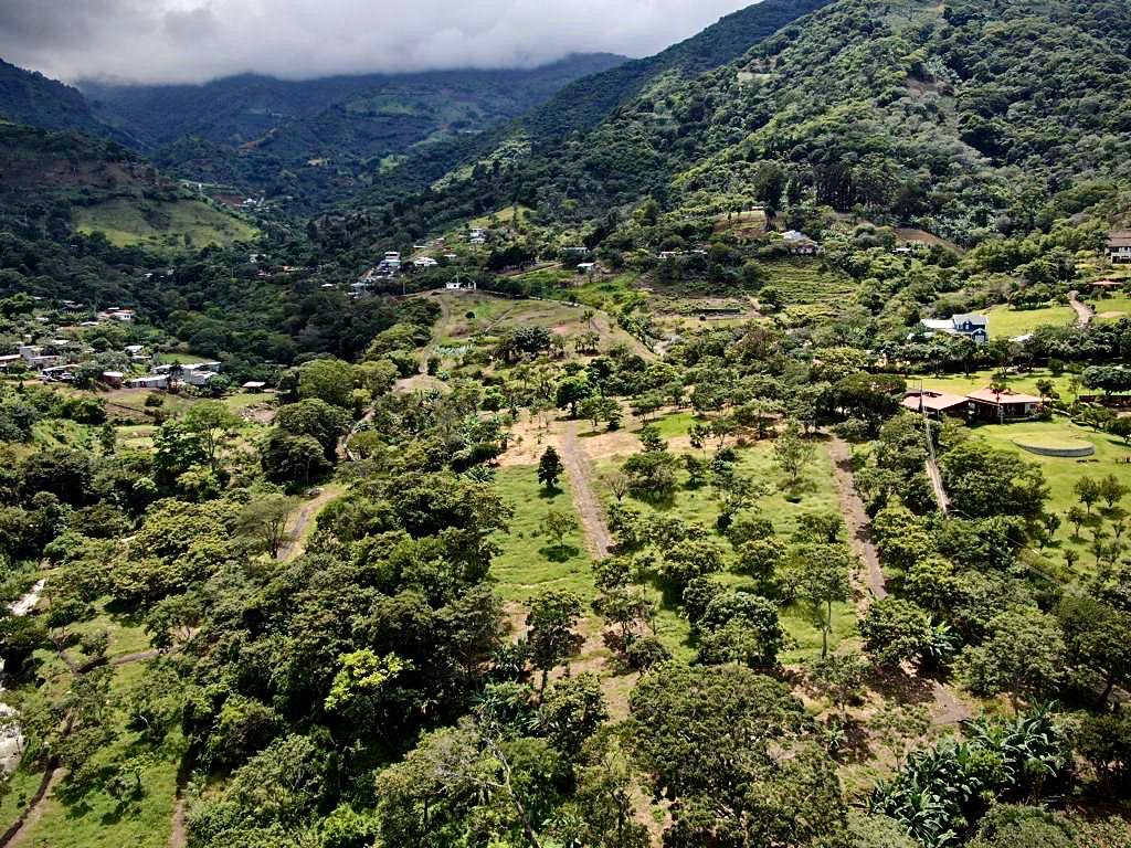 Prime 7.2-Hectare Estate in Santa Ana: Ideal for Family Living, Equestrian Facilities, or Spa Retreat