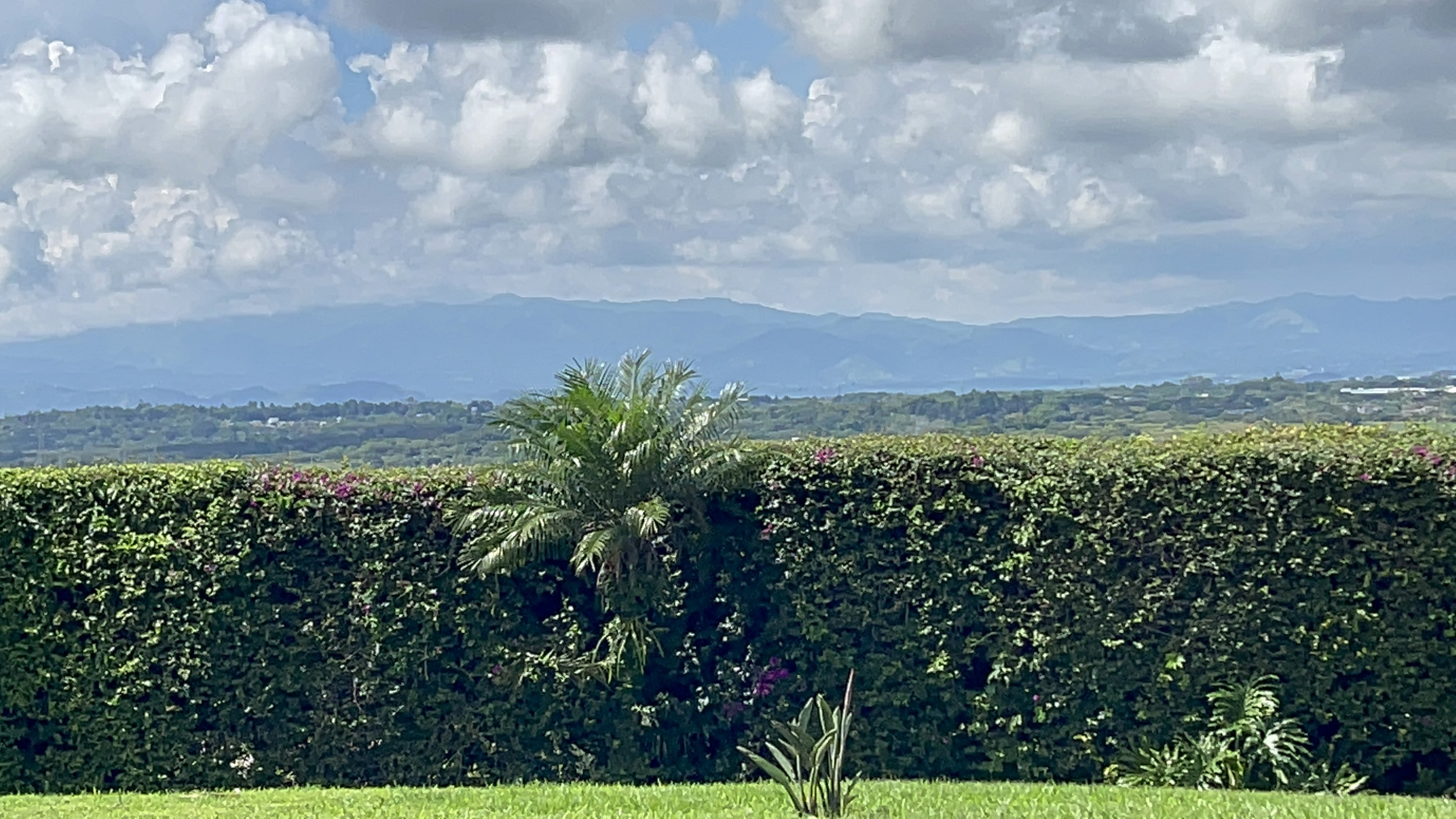 Versatile Estate in Santa Ana, Piedades: Ideal for Hotel, Airbnb, or Development
