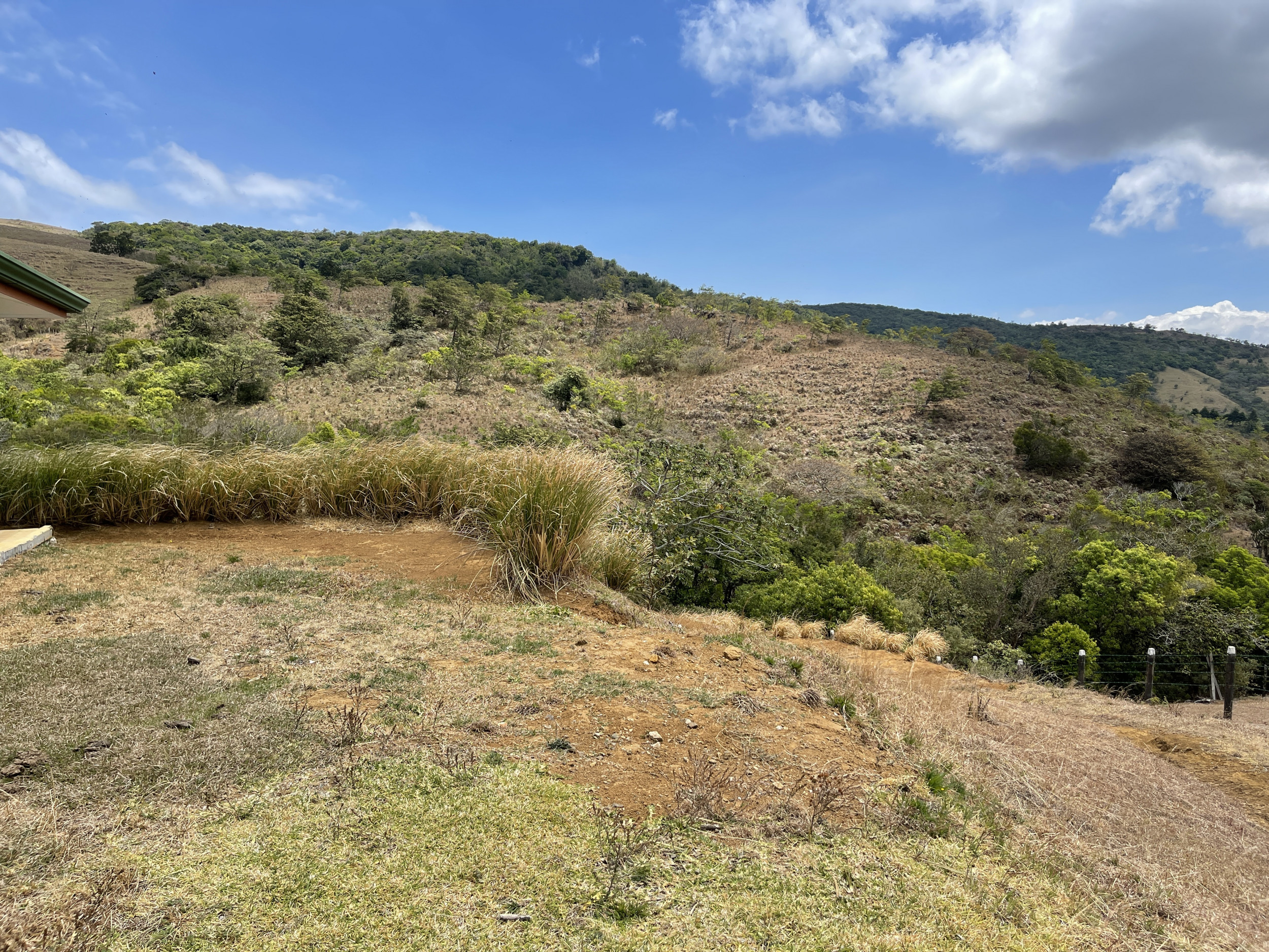Land for Sale in San Ramón de Alajuela – 3,100 m² with Beautiful Views