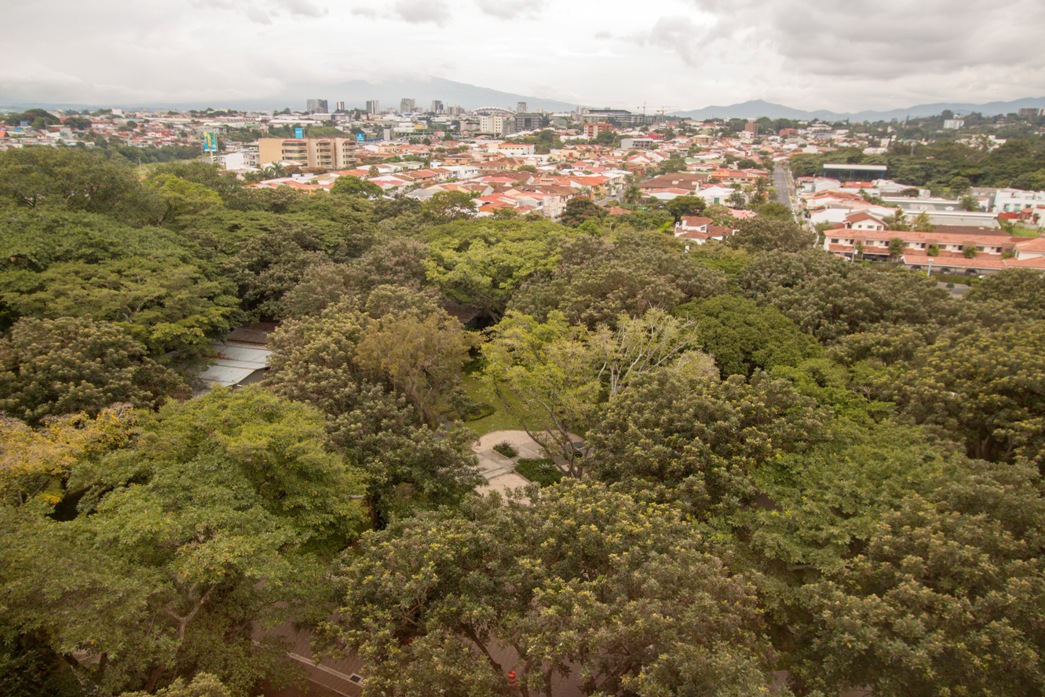 Luxurious Apartment Living in Central Park, Escazú: Exclusive Opportunity for Rent or Purchase