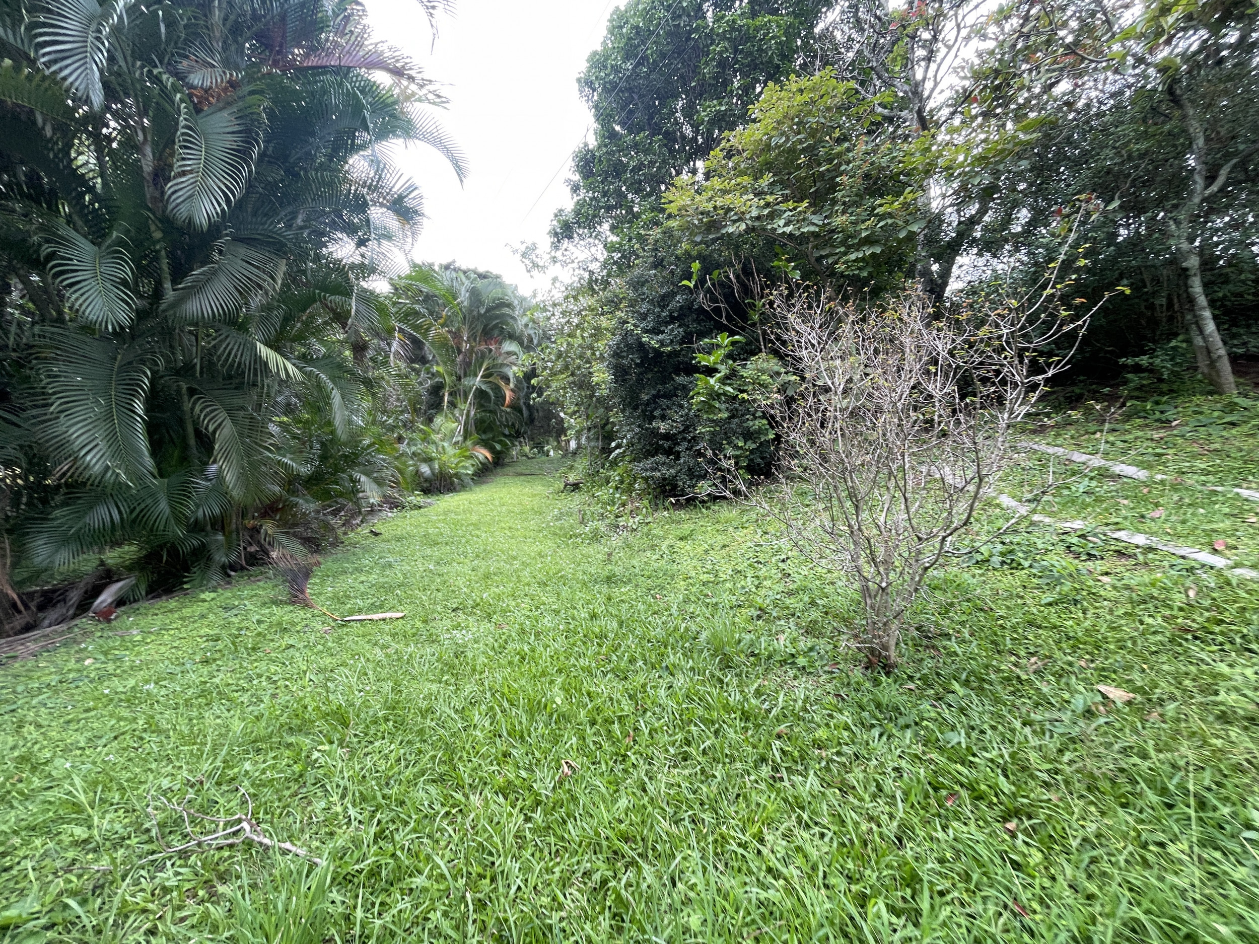 Guachipelin Escazú Fixer Upper home with views to the mountains SOLD