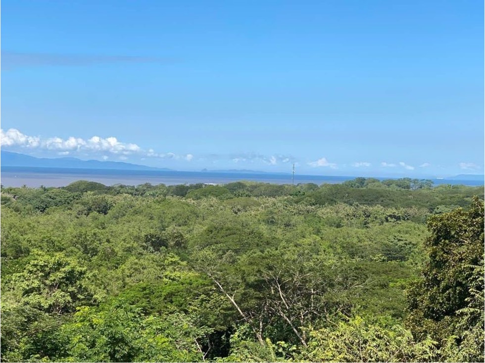 Building Plot in Nativa Resort