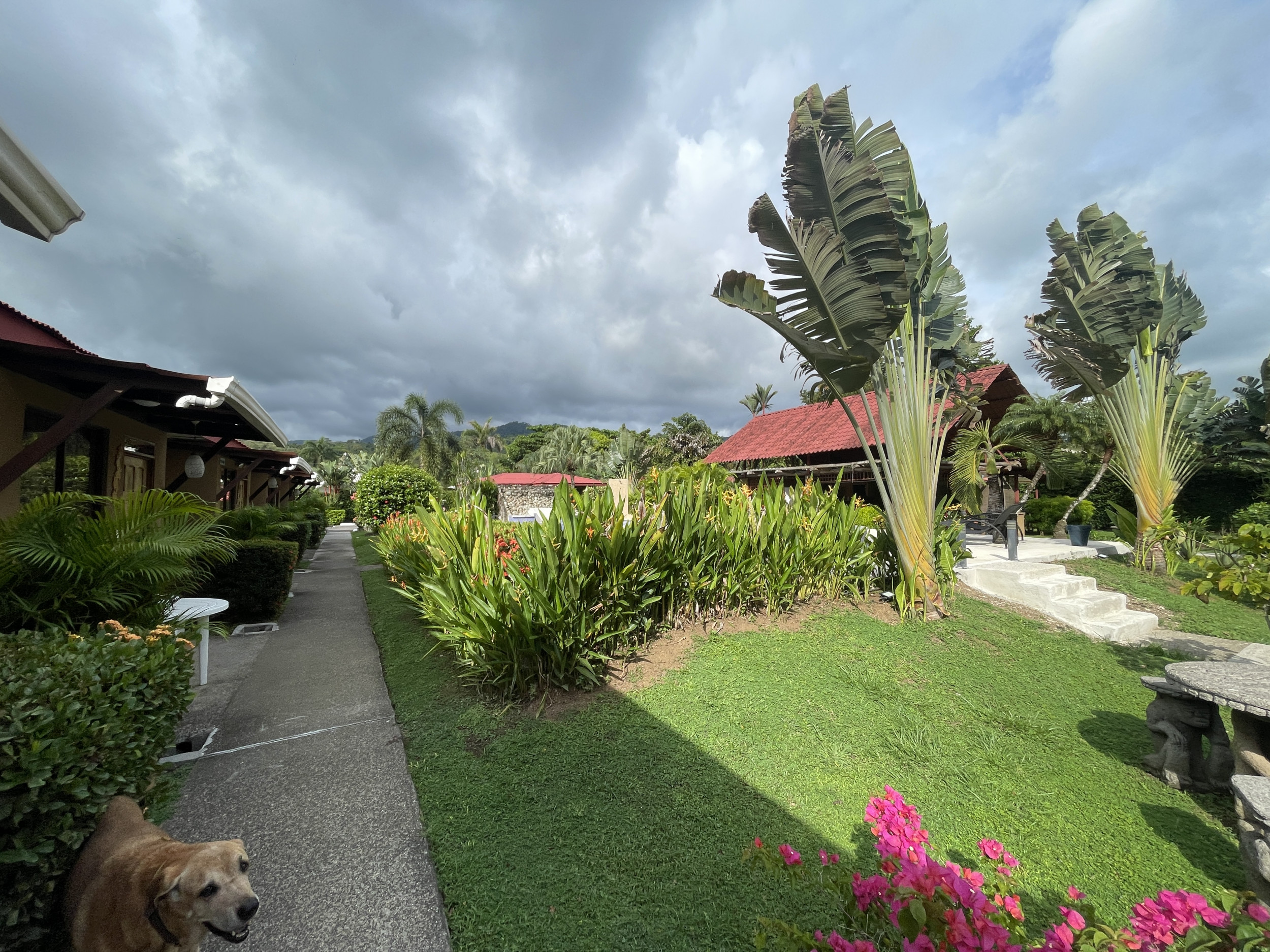 Prime Jaco Beach Investment Property: Ideal for Hotel or Airbnb Business