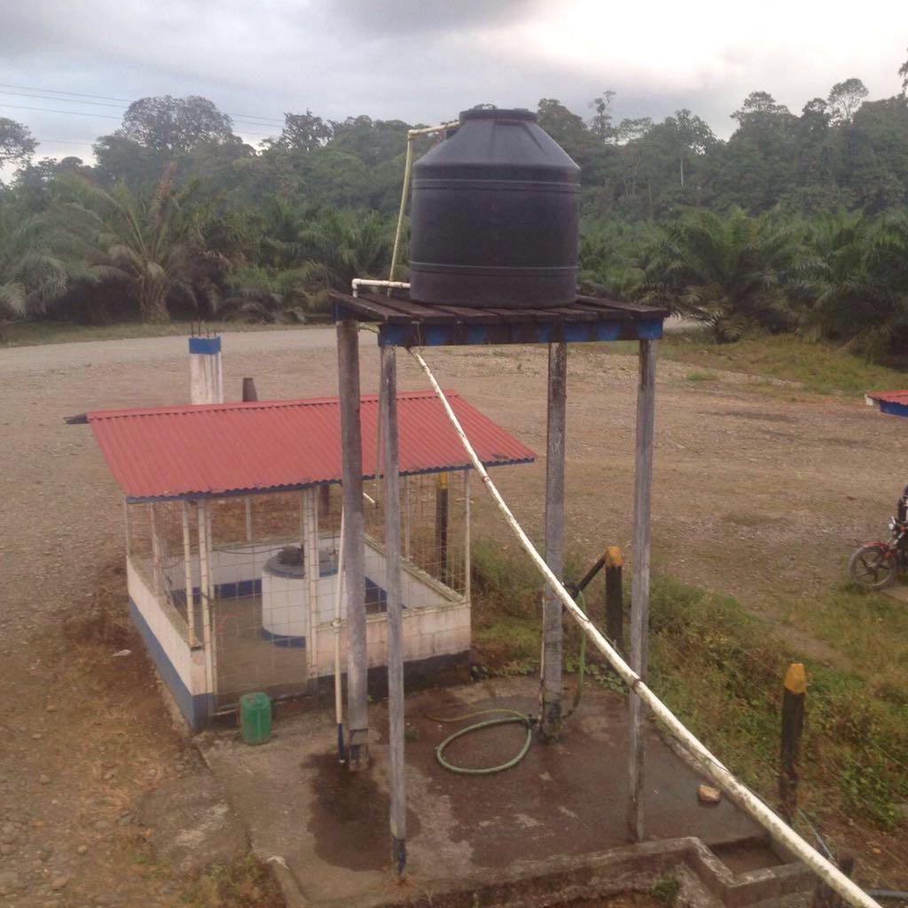 140 hectares palm oil farm, Sarapiqui
