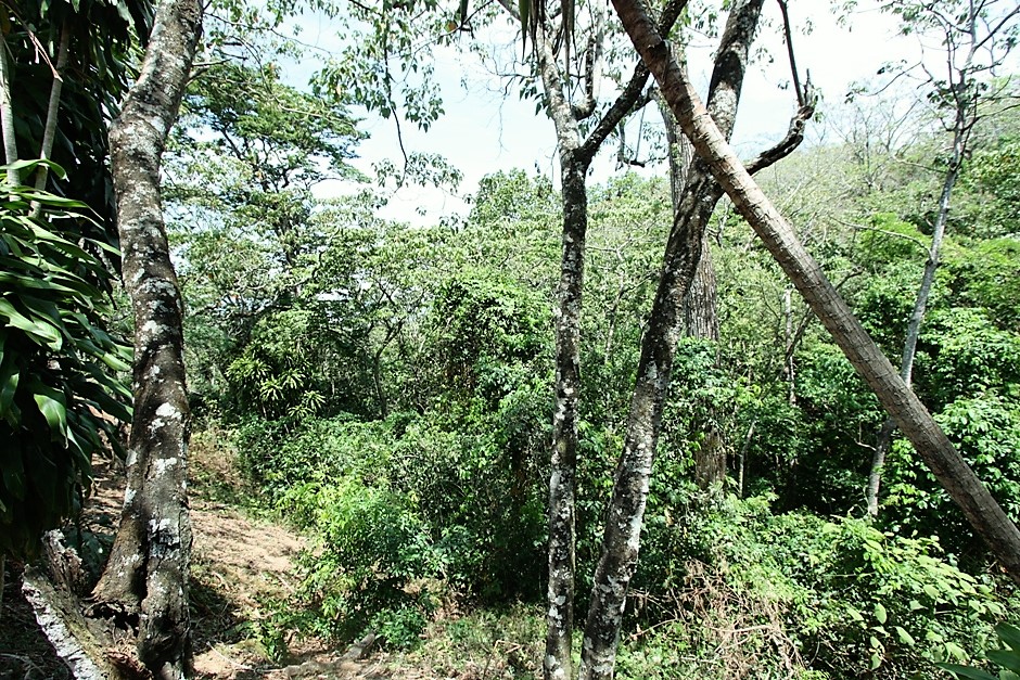 Ciudad Colon, property for sale with 4 houses, with 2,7 acres land
