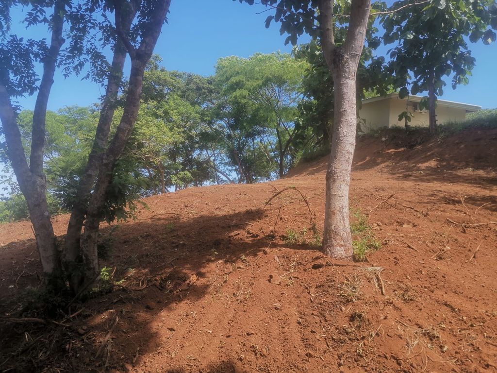 Secluded Paradise: Expansive Lot with Panoramic Sea Views in San Antonio Estates, Pinilla SOLD