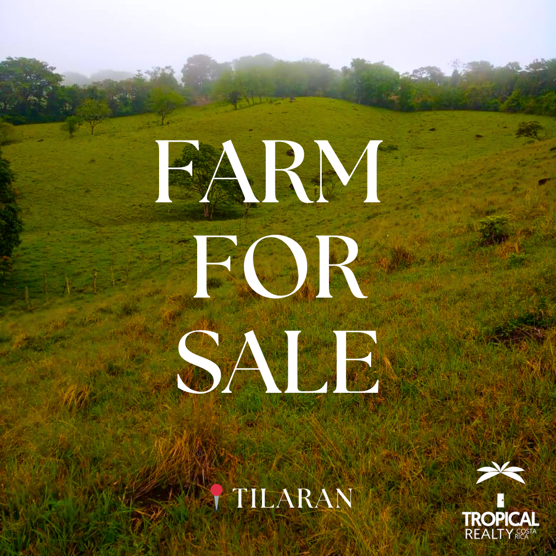 Enchanting Paradise: Captivating Estate for Sale in Tilaran, Costa Rica