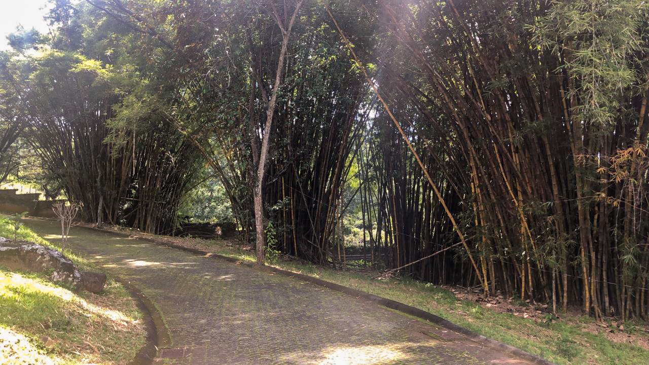 Luxury Estate, a unique home for horse lovers, located in La Garita de Alajuela