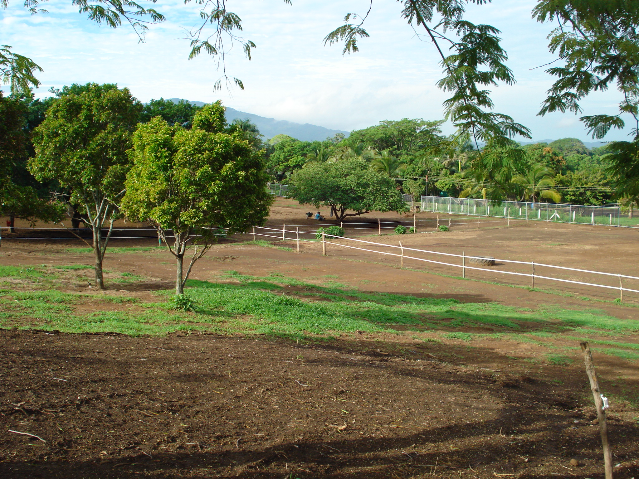 Prime Residential and Commercial Development Land for Sale in Alajuela - Negotiable Price