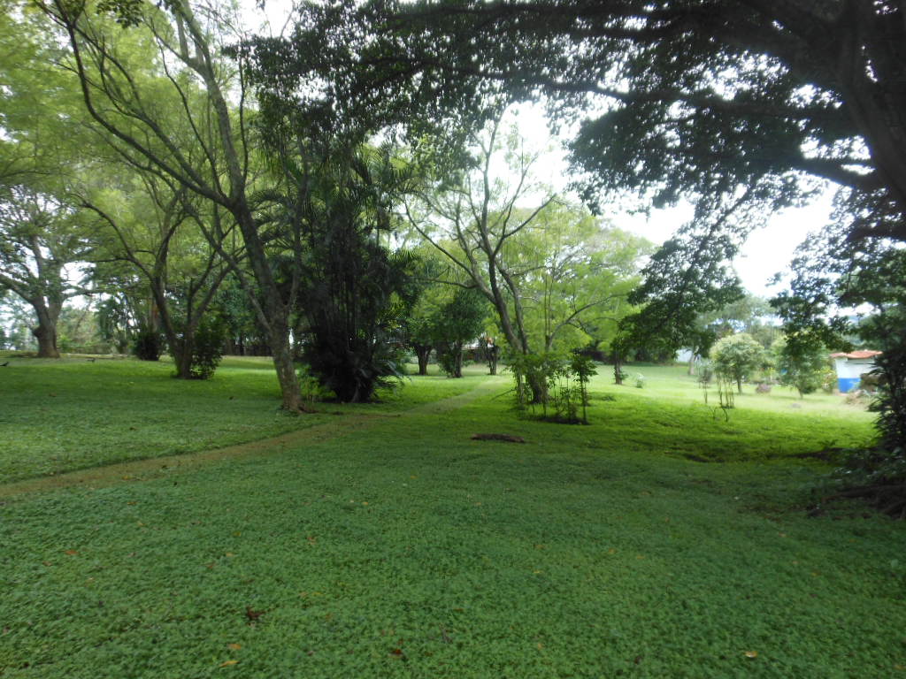 Building Plot in Rio Segundo, Alajuela
