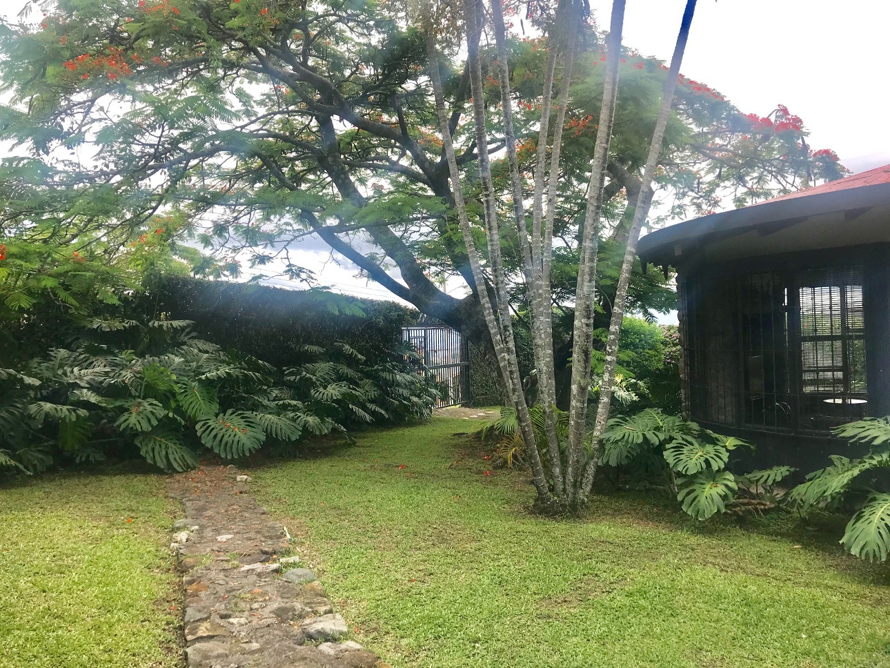Independent House for Sale in San Antonio de Escazu.