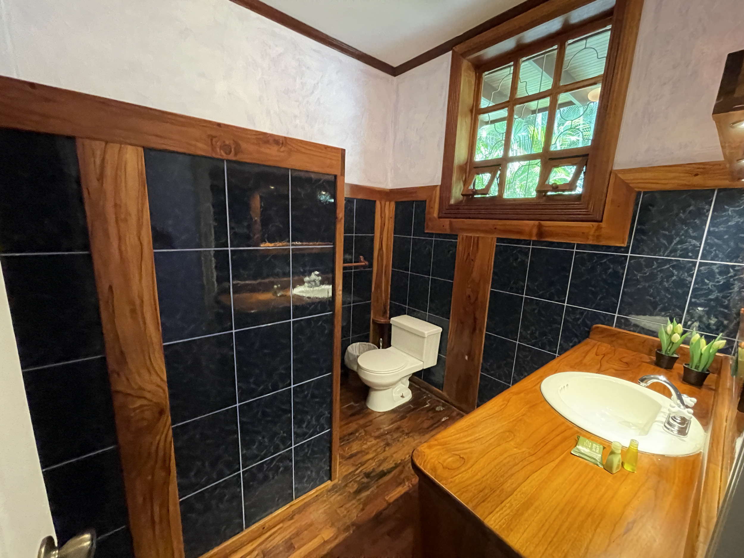 Versatile Estate in Santa Ana, Piedades: Ideal for Hotel, Airbnb, or Development