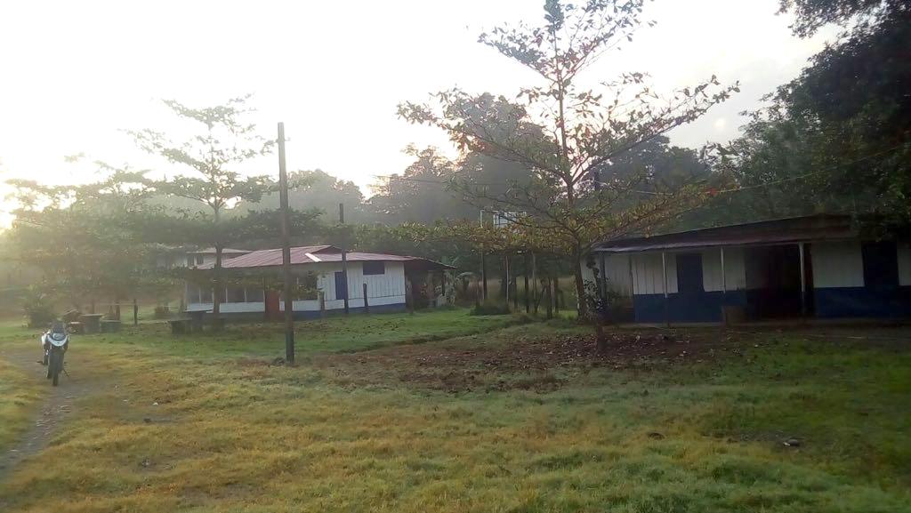 140 hectares palm oil farm, Sarapiqui