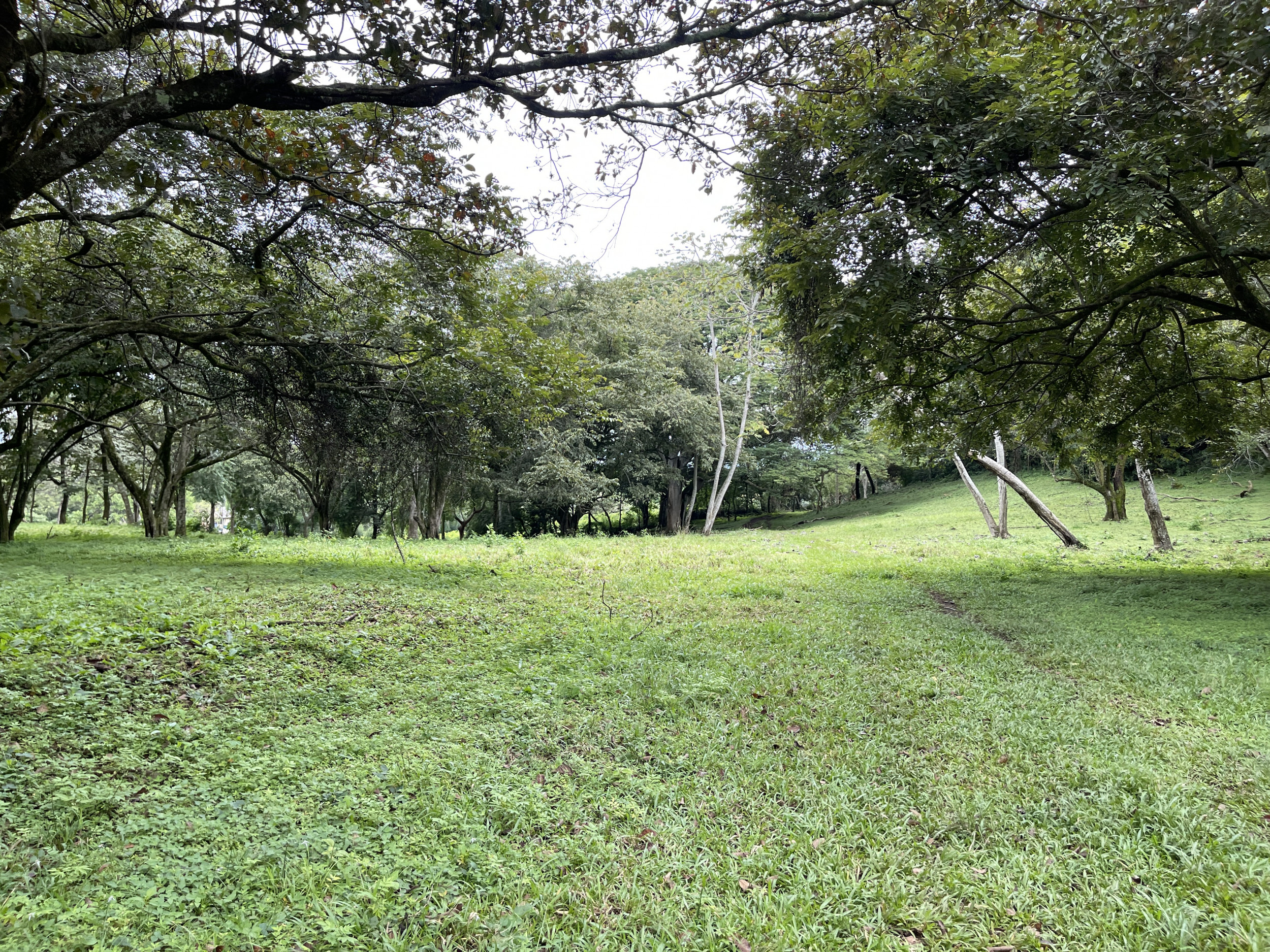 Development land for sale La Garita Alajuela 6.2 hectares