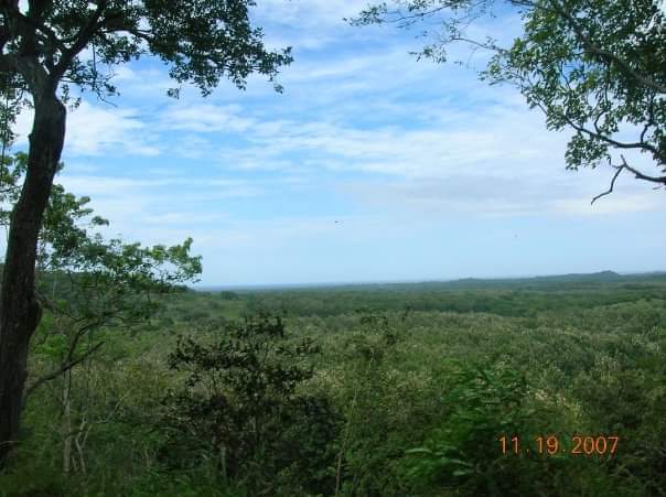 Secluded Paradise: Expansive Lot with Panoramic Sea Views in San Antonio Estates, Pinilla SOLD