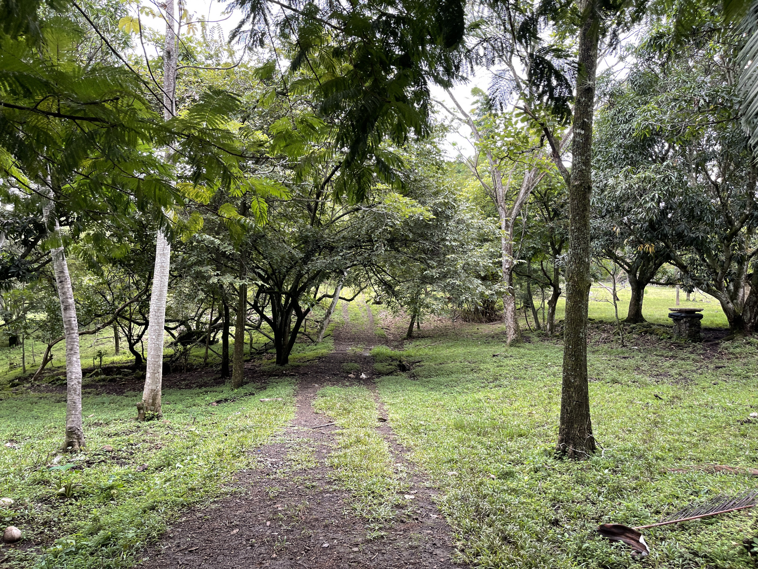 Development land for sale La Garita Alajuela 6.2 hectares