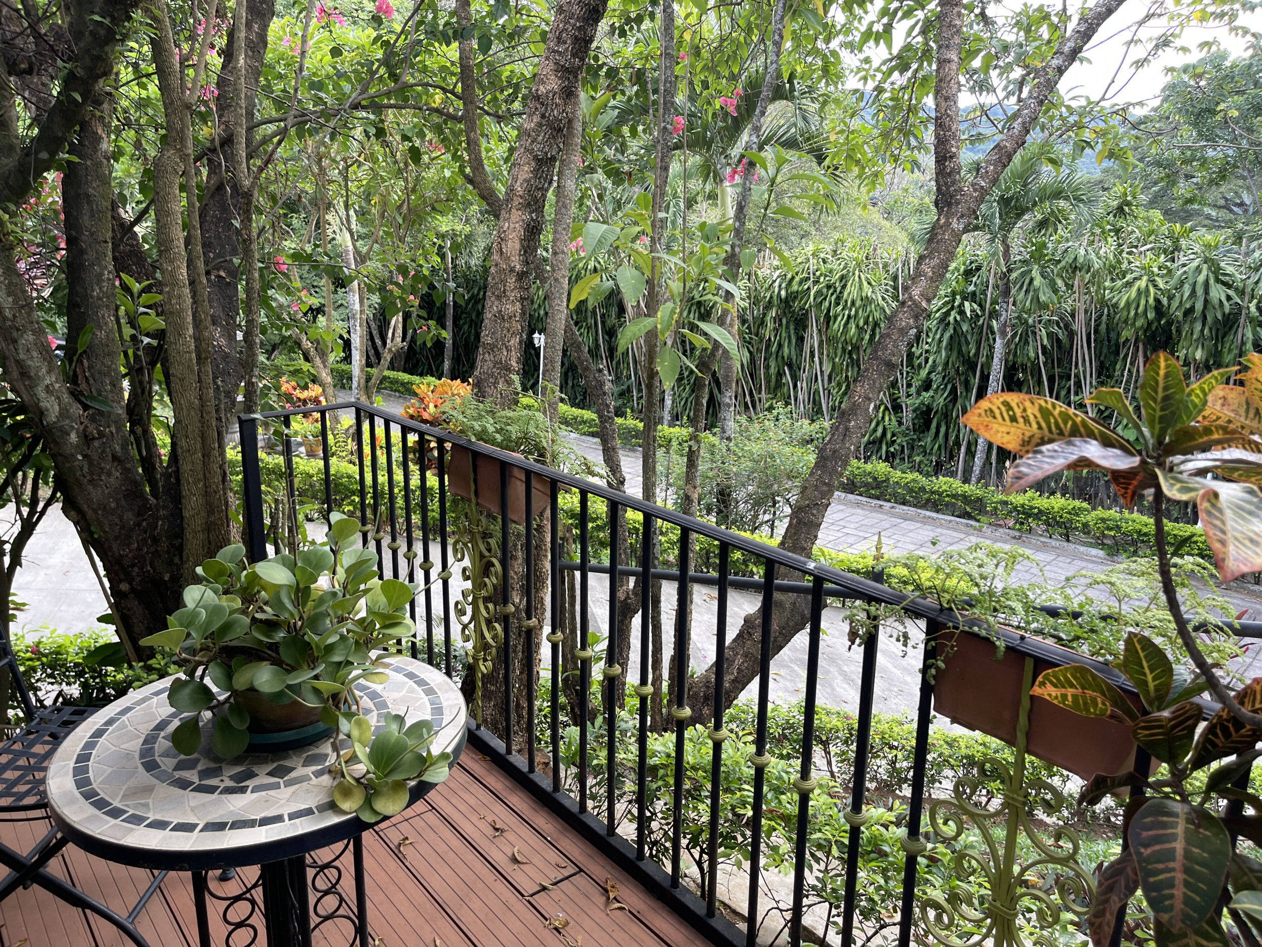 Serenity and Style: Captivating Single-Story Residence with Panoramic Garden Views in Central Ciudad Colón