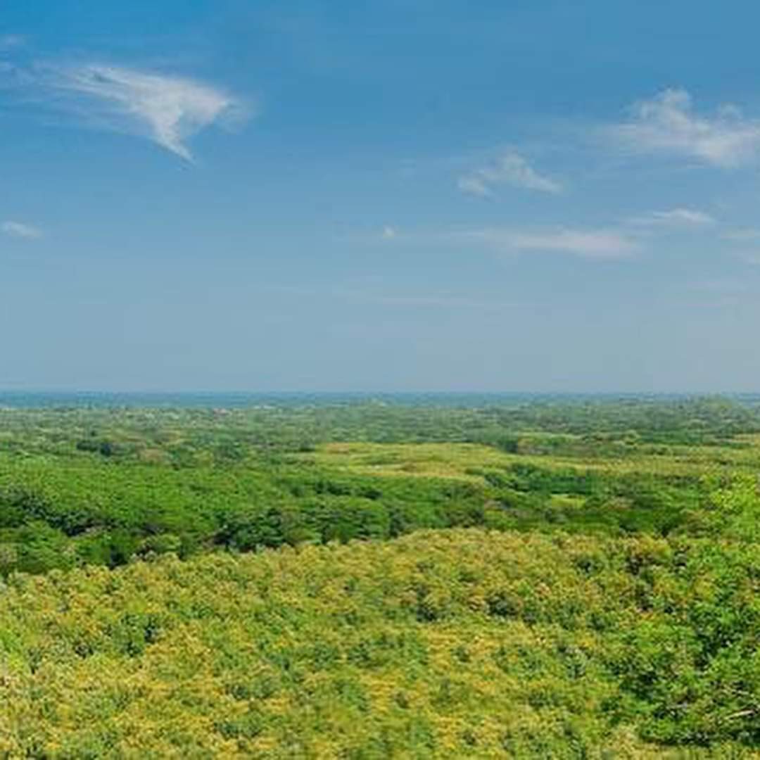Secluded Paradise: Expansive Lot with Panoramic Sea Views in San Antonio Estates, Pinilla SOLD