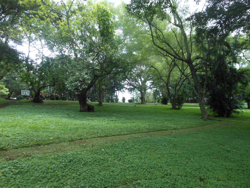 Building Plot in Rio Segundo, Alajuela