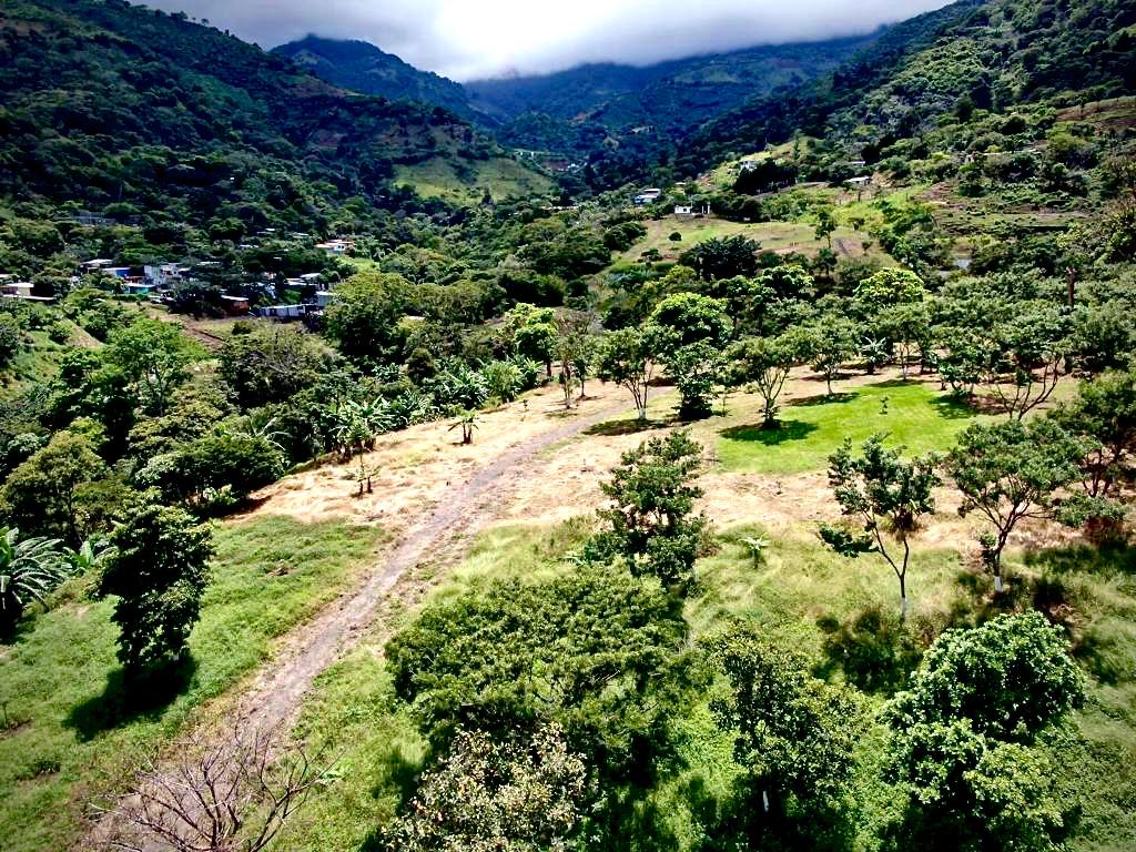 Prime 7.2-Hectare Estate in Santa Ana: Ideal for Family Living, Equestrian Facilities, or Spa Retreat