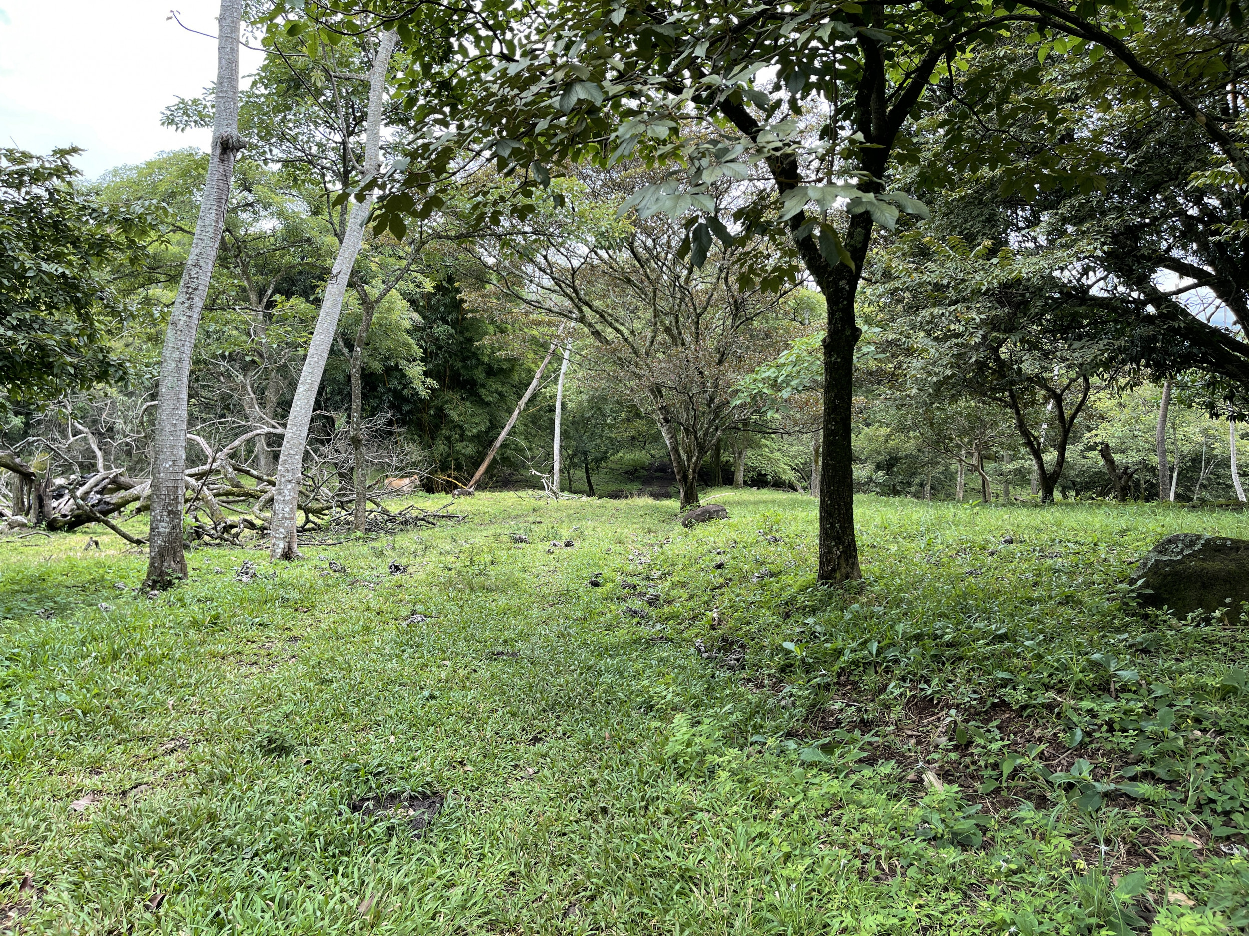 Development land for sale La Garita Alajuela 6.2 hectares