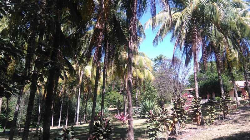 Nature Lover's Paradise: Unique Property with Two Homes on Expansive Land