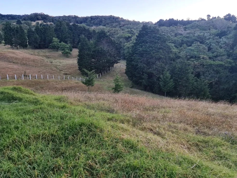 Prime Costa Rica Lot with Sweeping Views, River Access, and Ready for Your Dream Home