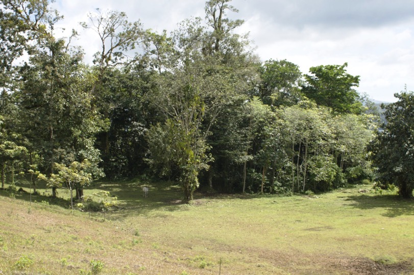 Arenal Lake view front property 15.23 acres