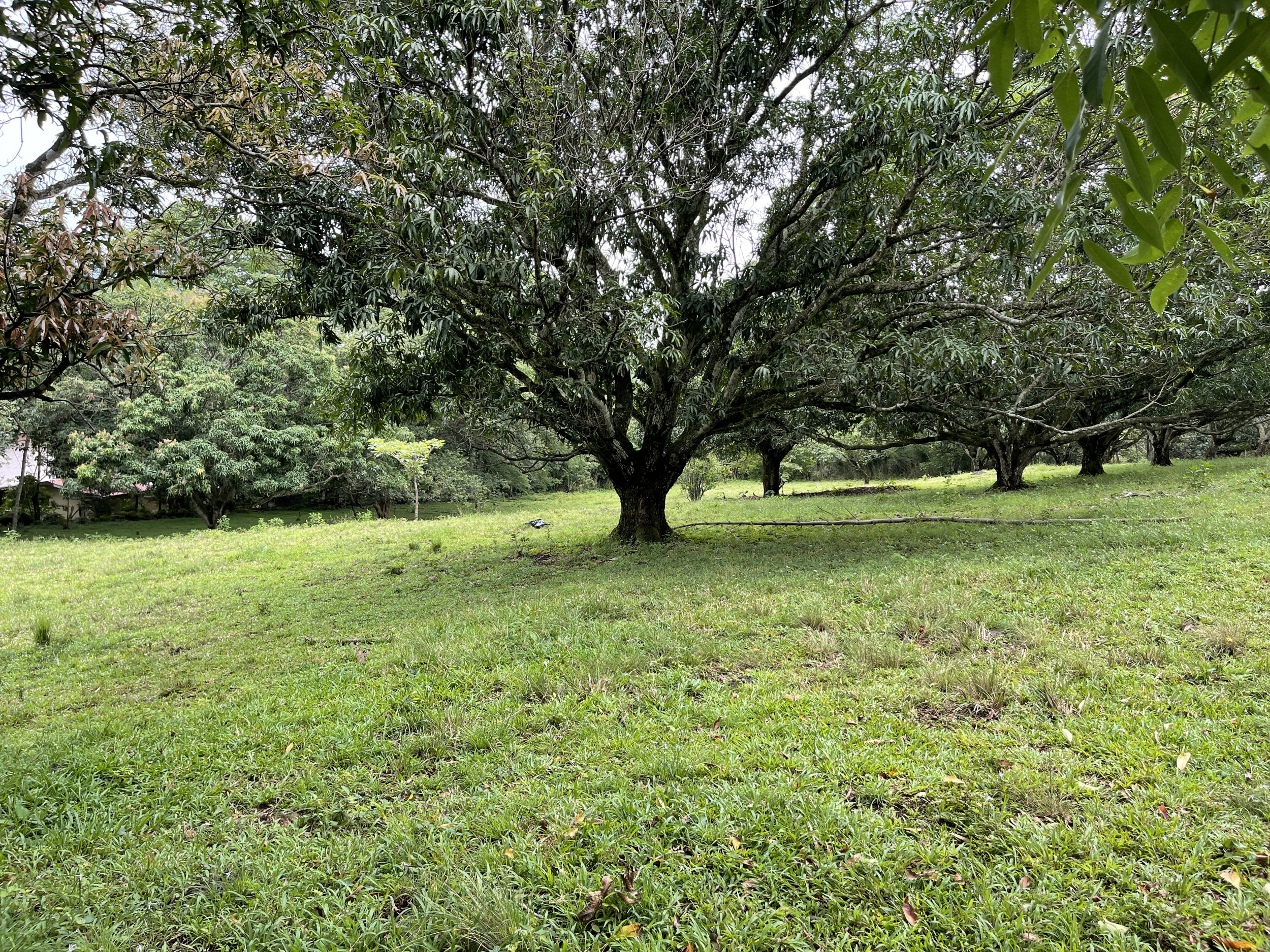 Development land for sale La Garita Alajuela 6.2 hectares