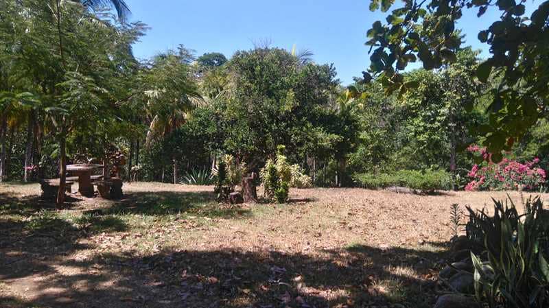 Nature Lover's Paradise: Unique Property with Two Homes on Expansive Land