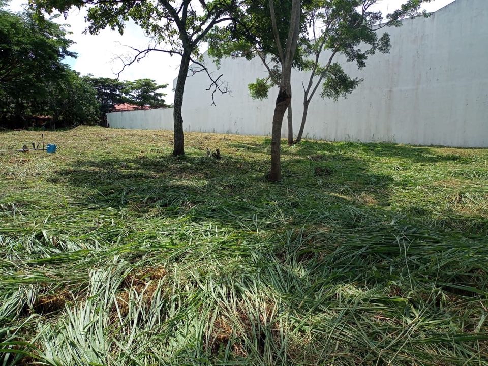 Rare Opportunity: Flat 2518m2 Land for Sale in Santa Ana with 34m Frontage