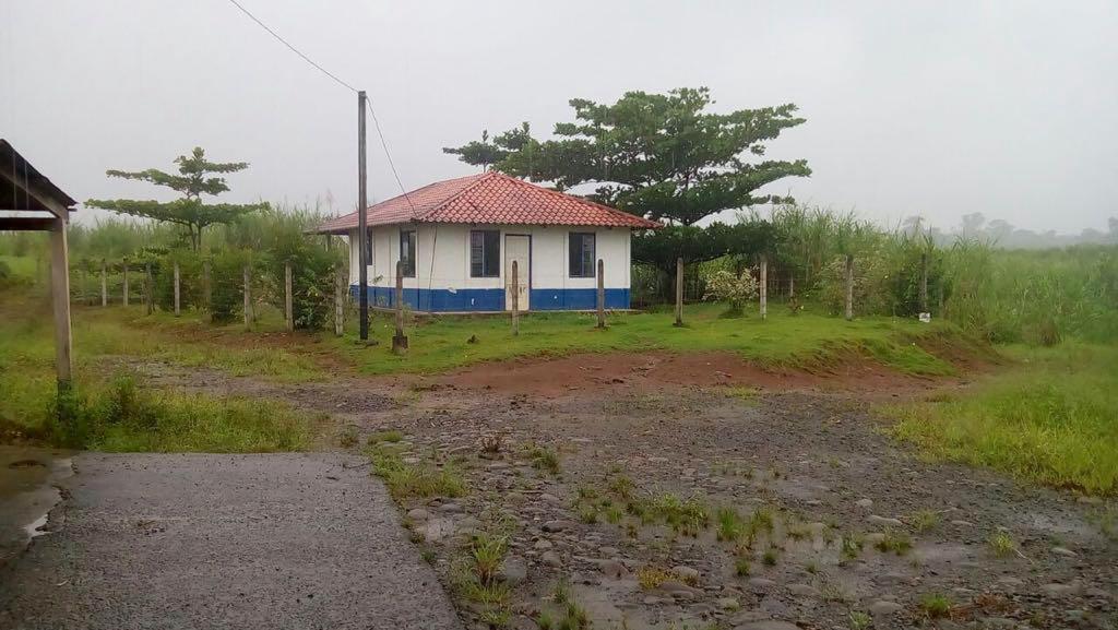 Livestock farm for sale and palm oil, 331 acres