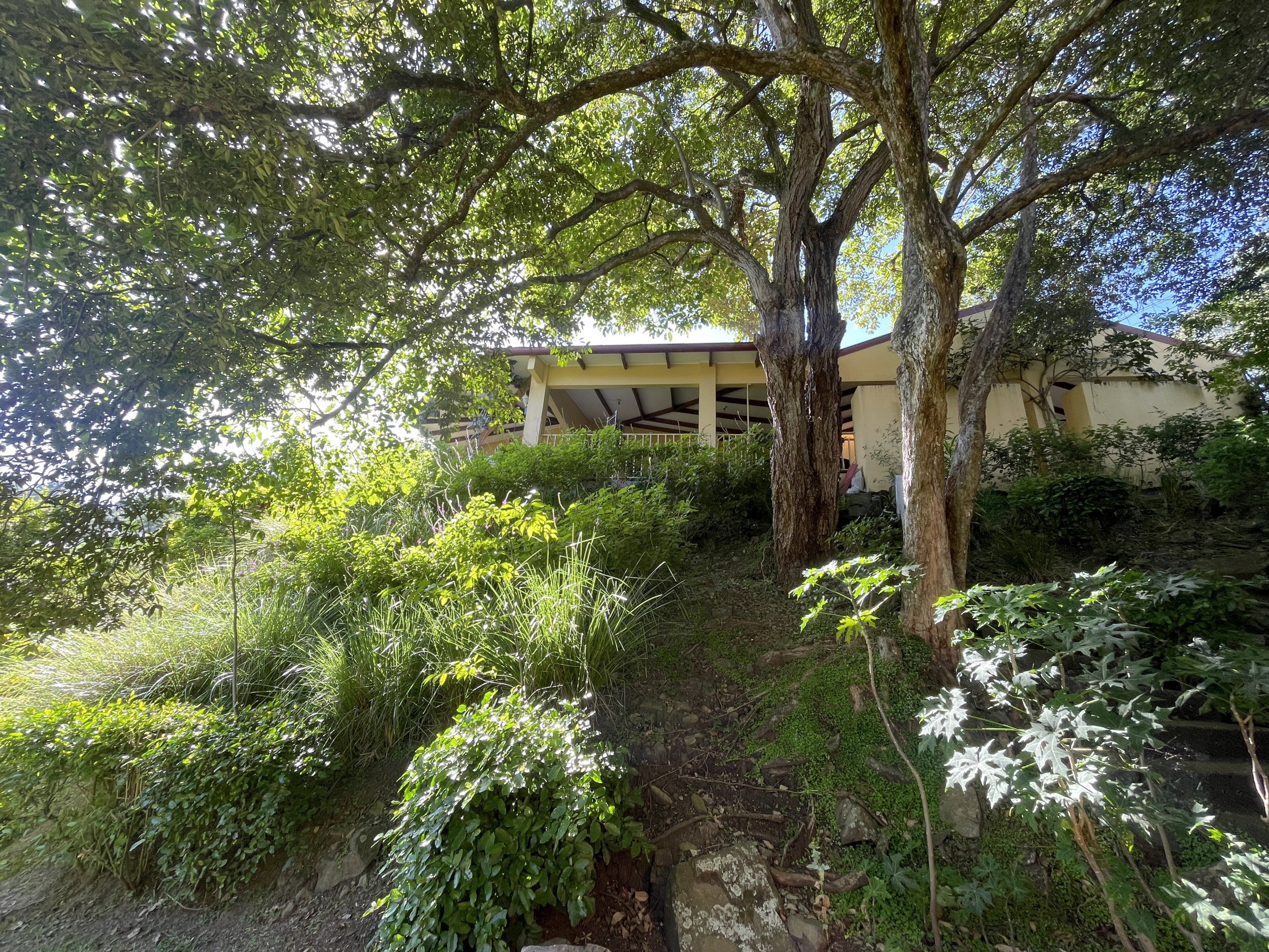 House in Alto Las Palomas single story with breathtaking Views and Lush Gardens SOLD
