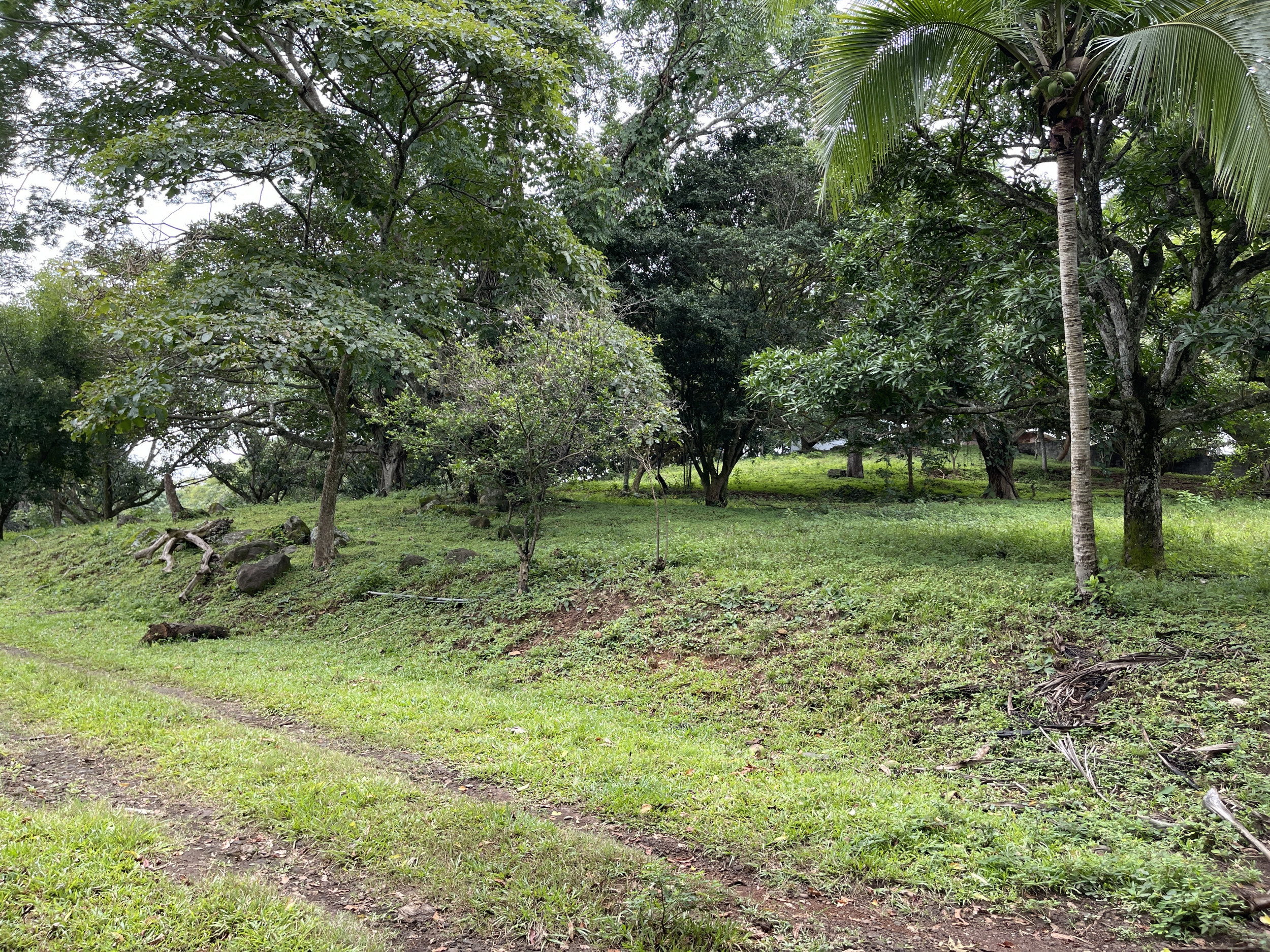 Development land for sale La Garita Alajuela 6.2 hectares