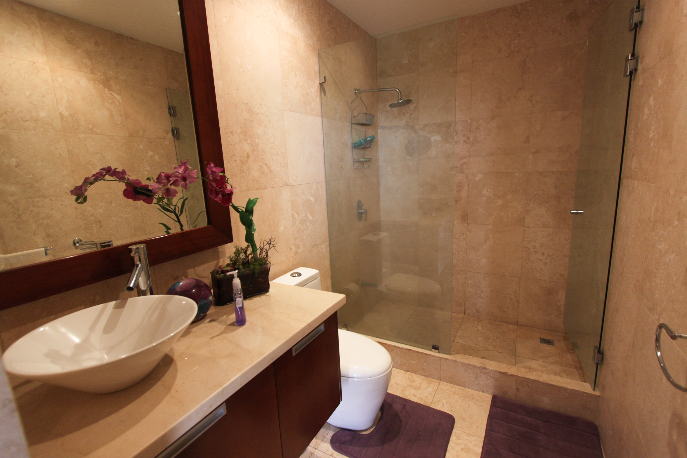 Apartment for sale or rent Escazu, Monteplata